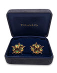 Tiffany & Co. Schlumberger Smokey Quartz and Tszavorite Garnet Starburst Earrings