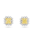 Fancy Yellow and White Diamond Halo Earrings